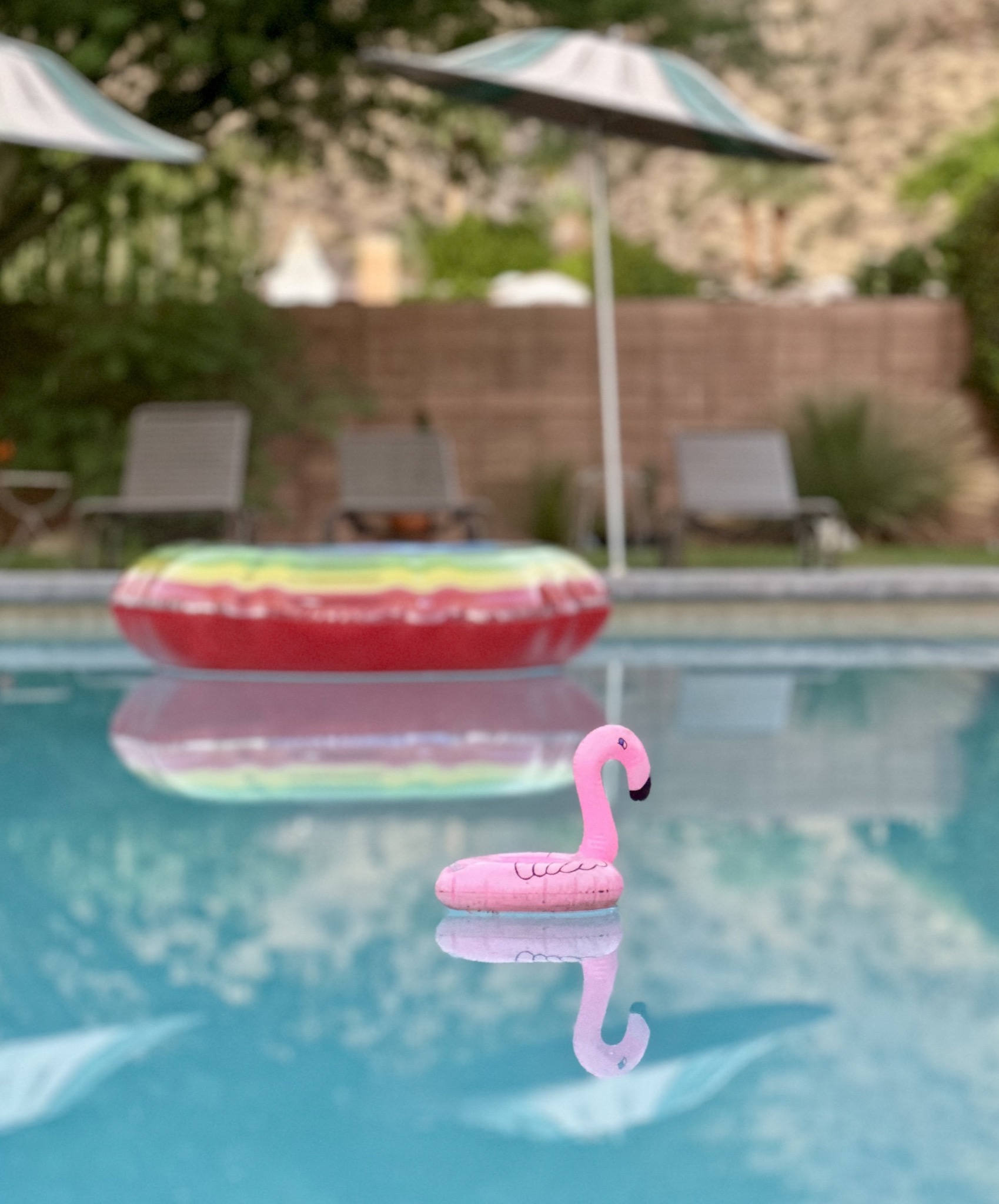 Adorable flamingo at The Hideaway/374 Villaggio S, Palm Springs, CA 92262, USA