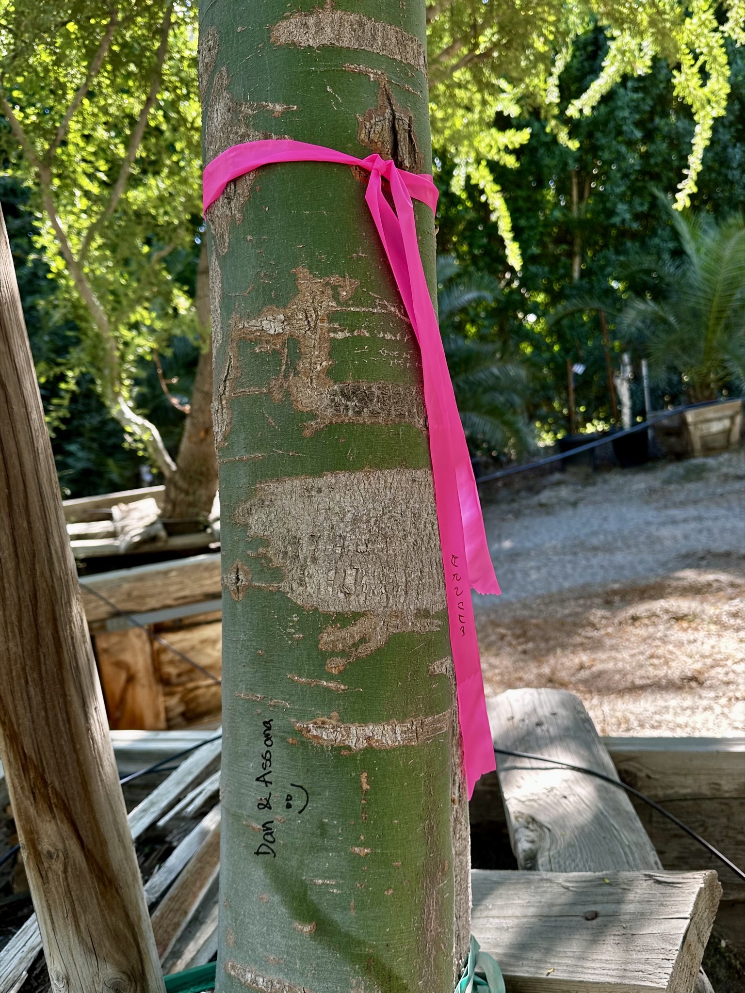 Festival Campgrounds, 83272 51st Ave, Coachella, CA 92236, USA