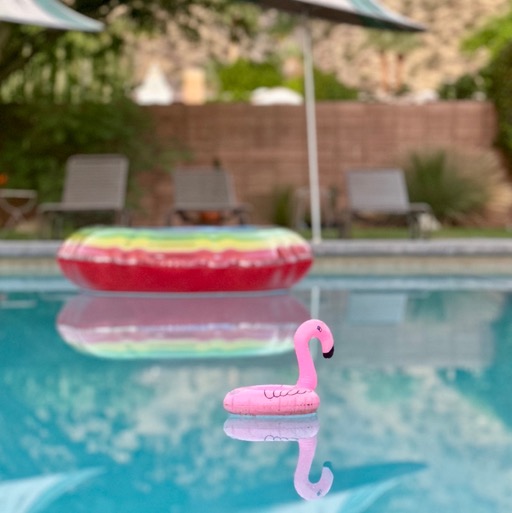 Adorable flamingo at The Hideaway/
		    374 Villaggio S, Palm Springs, CA 92262, USA