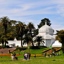 Conservatory of Flowers/
		    