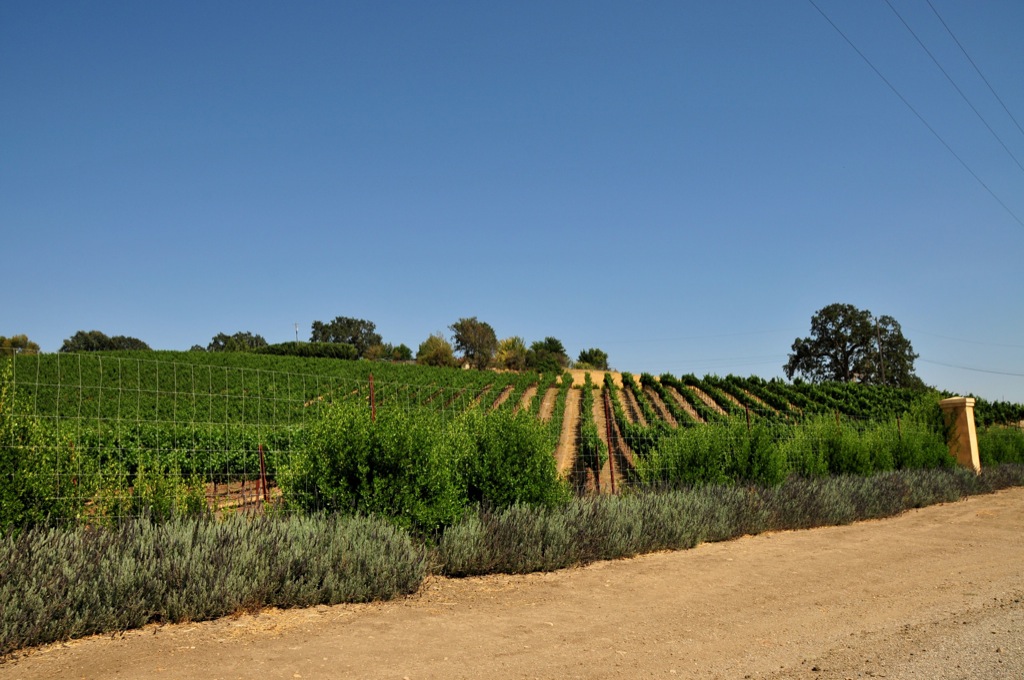 Paso wine country/
