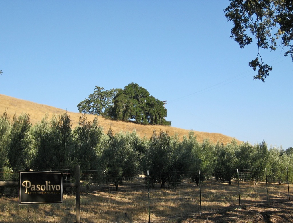 Pasolivo Orchards/