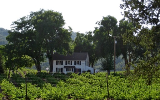 Winery and house