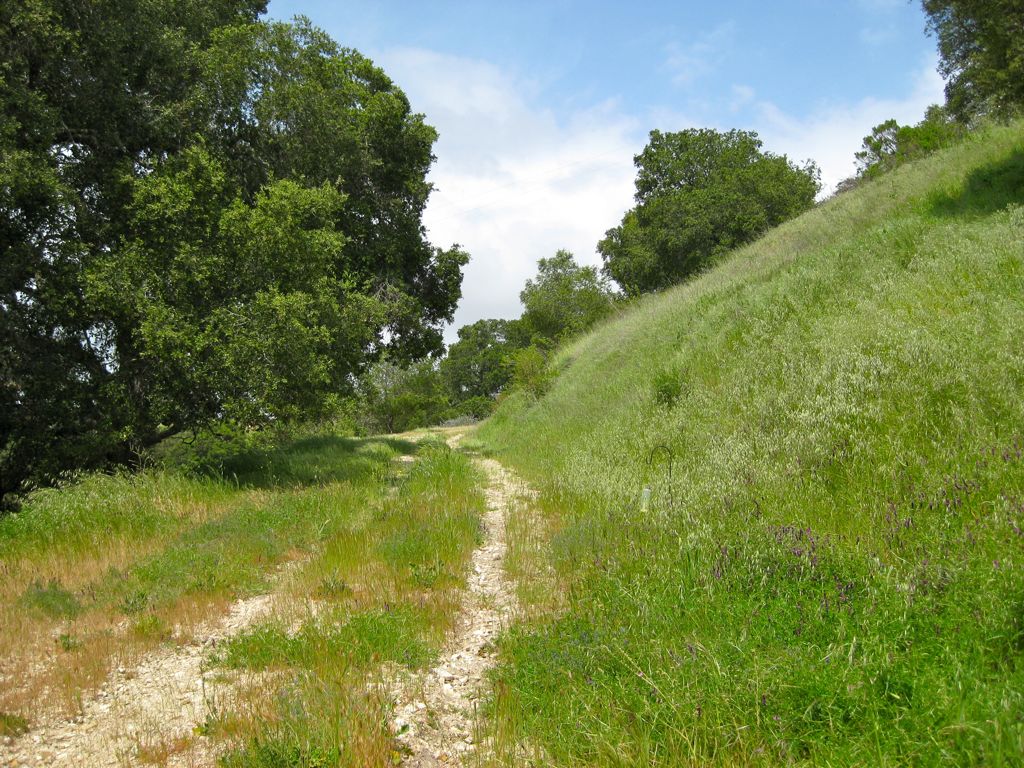 Oh my! What happened to the road?/