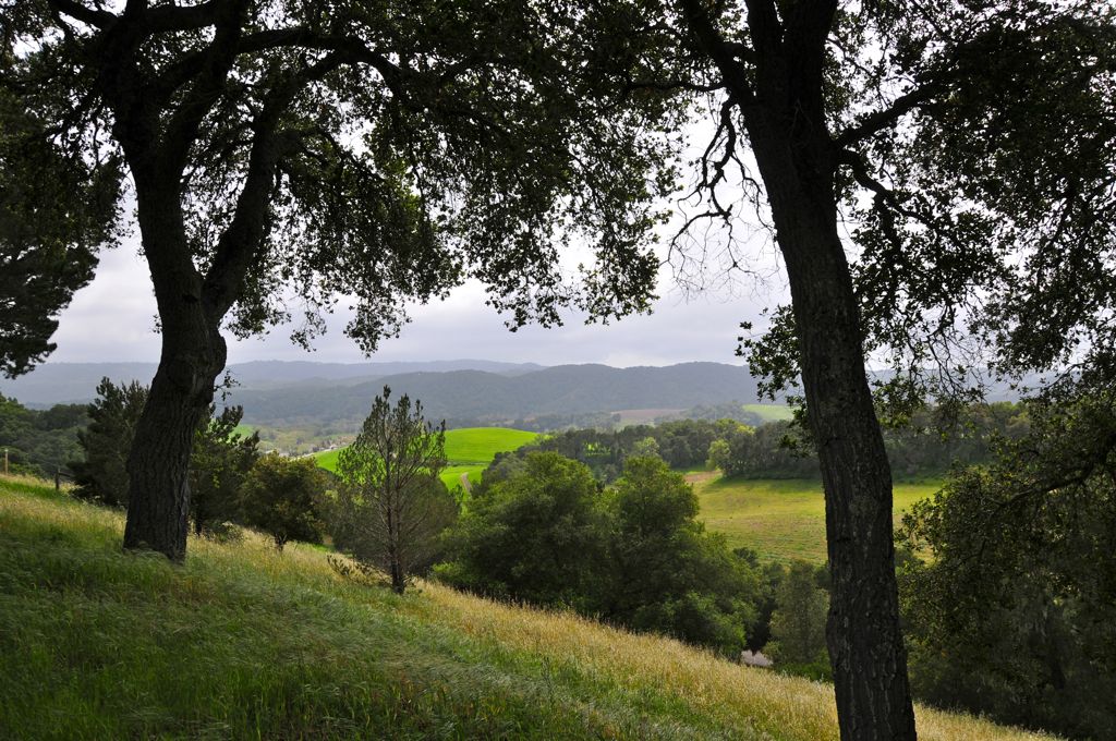 The hills of The Gap/