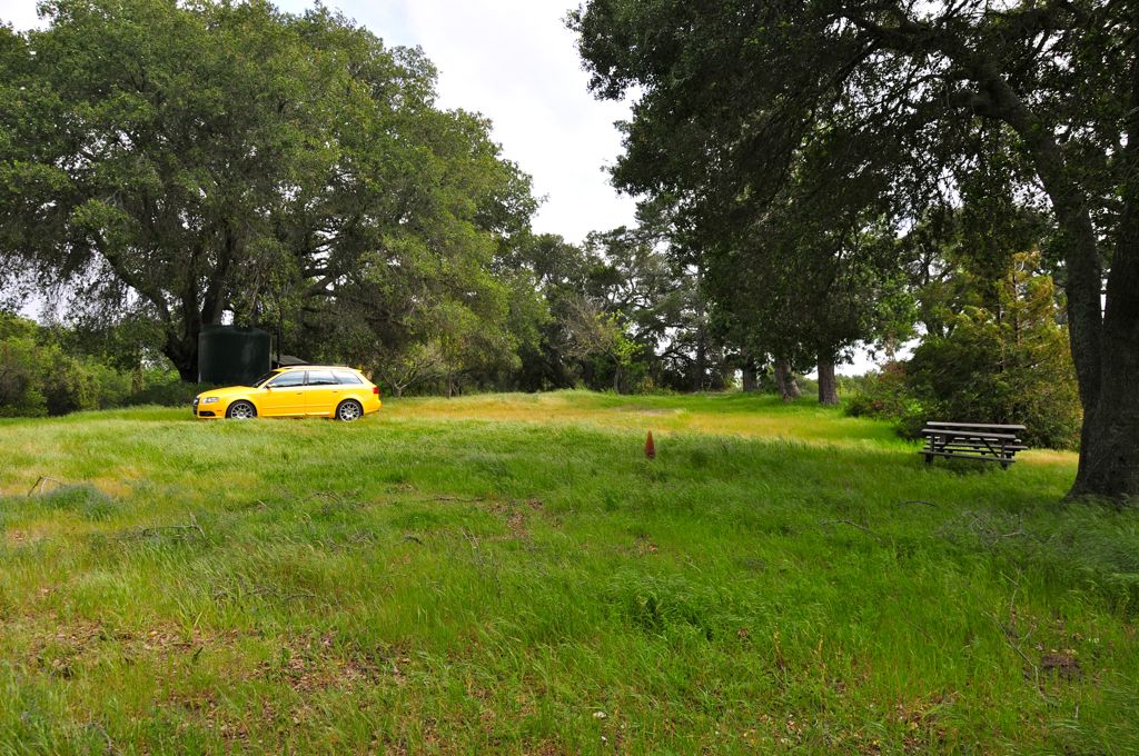 Bumble-wagon getting lost in the weeds/