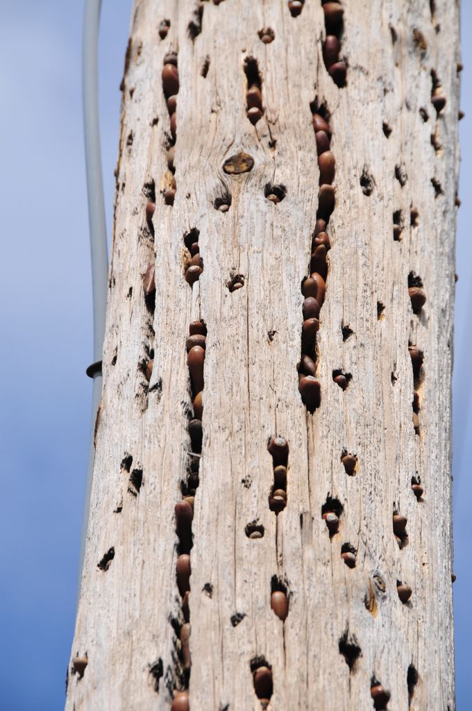 Every hole was stuffed... Every!/