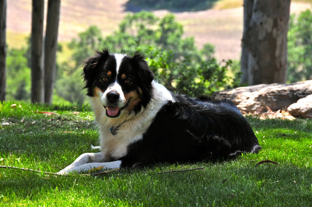 Tess continues to keep an eye on us/