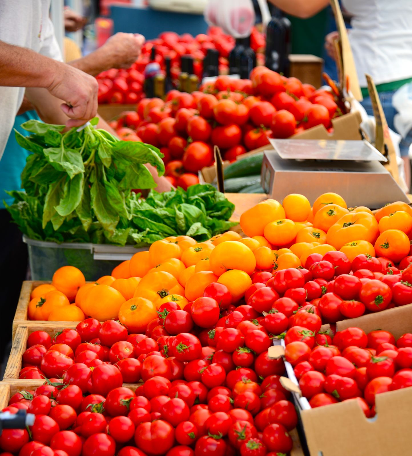 Amazing Templeton Farmer's Market/