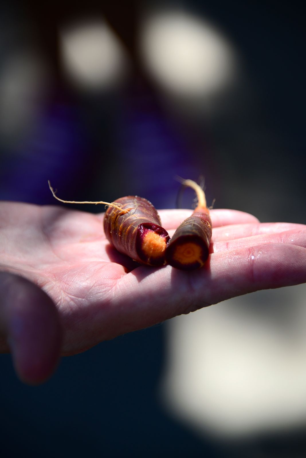 Funky-colored carrot, but oh-so-tasty/