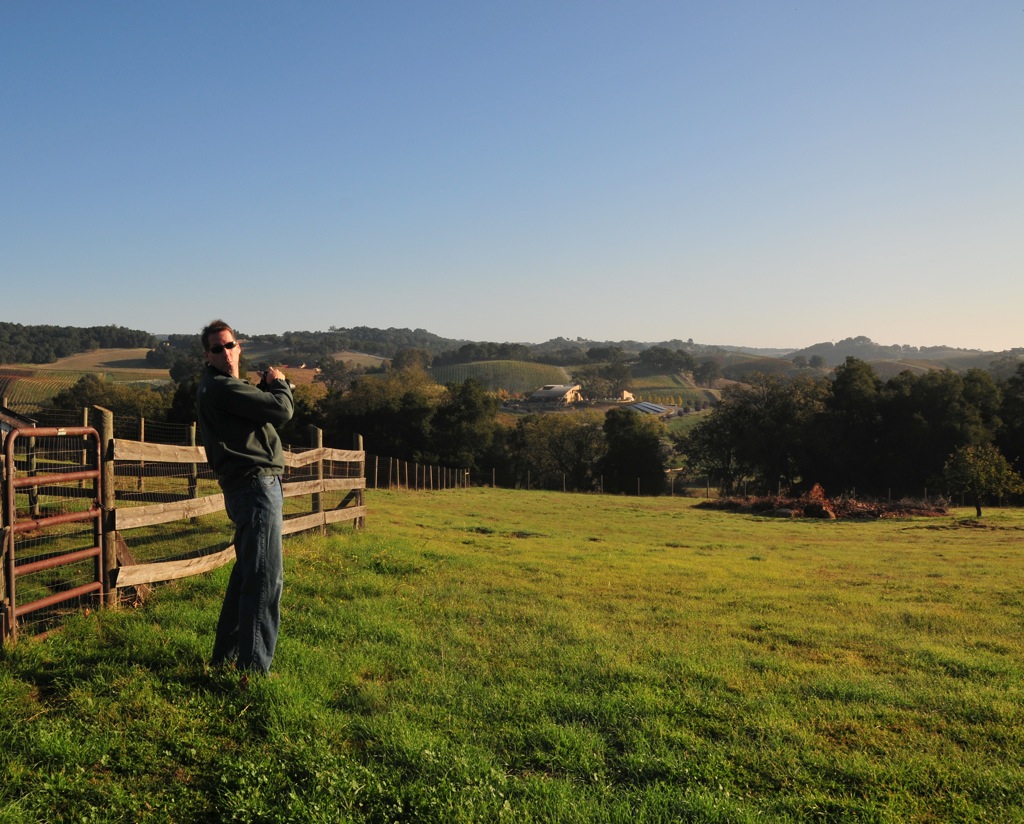 Paso hills in the morning sun/