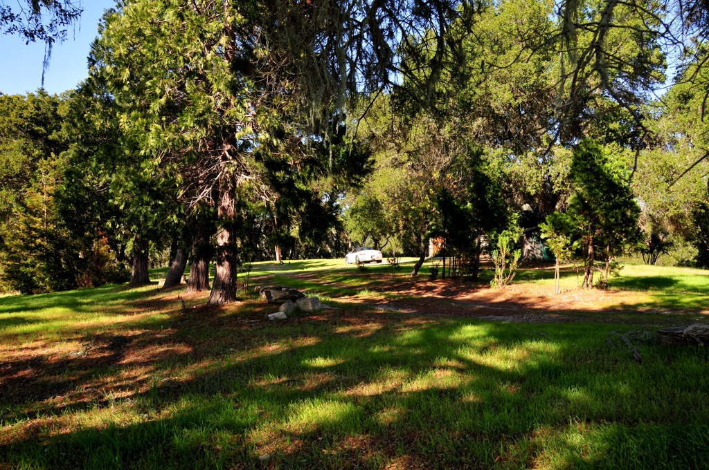 The flat part where the house will go/