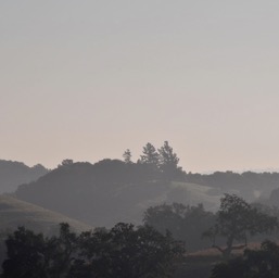 Willow Creek's top-of-the-hill from afar/
		    