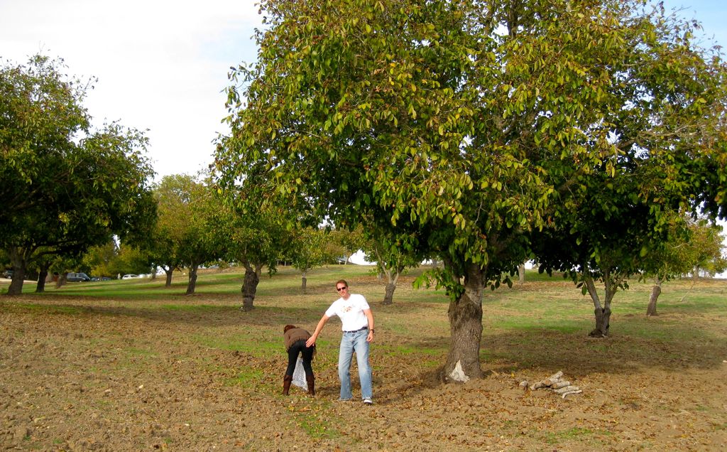 ... and Dan fondling Tara!/
