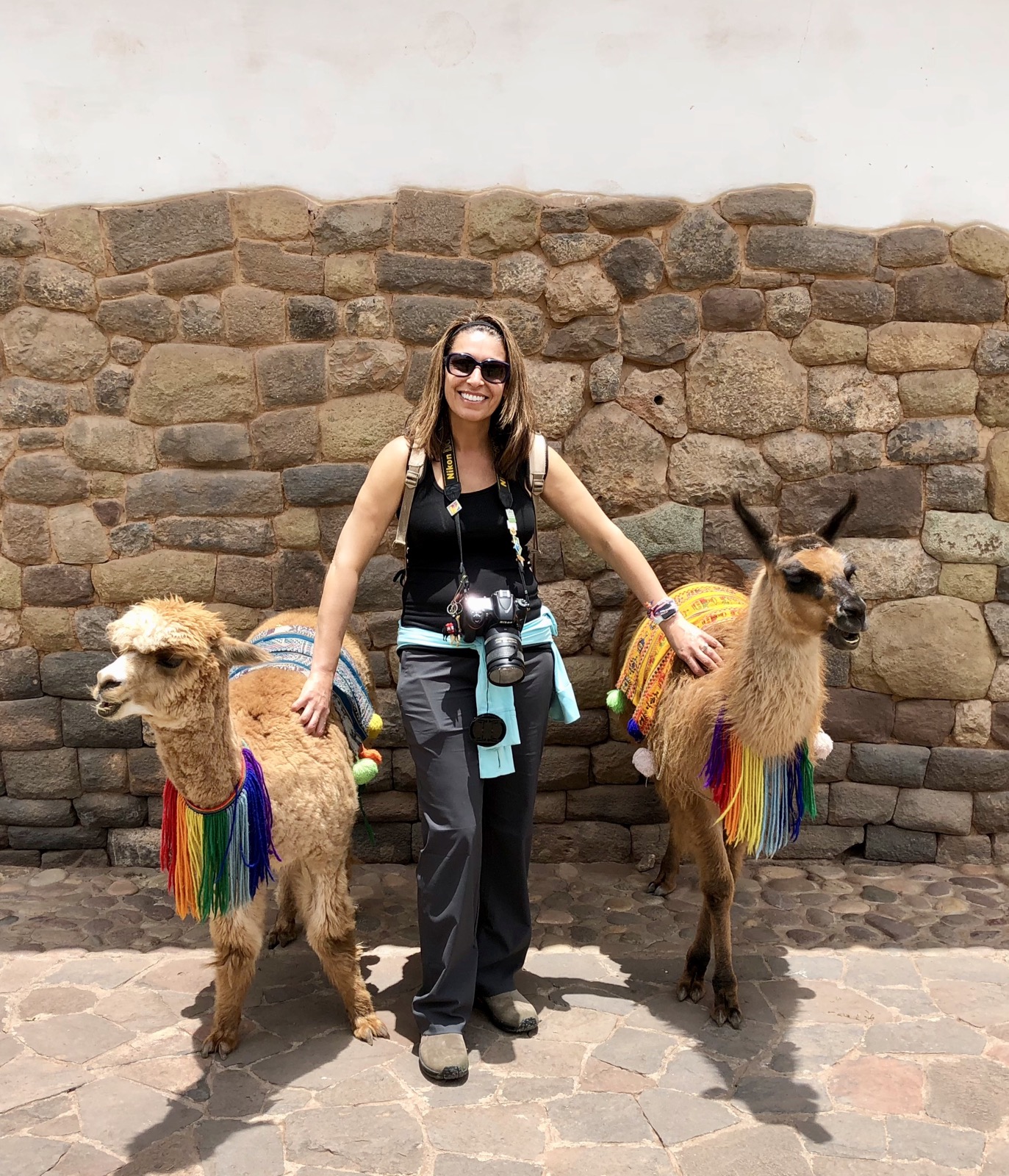 Llamas... they feel like thick rugs/