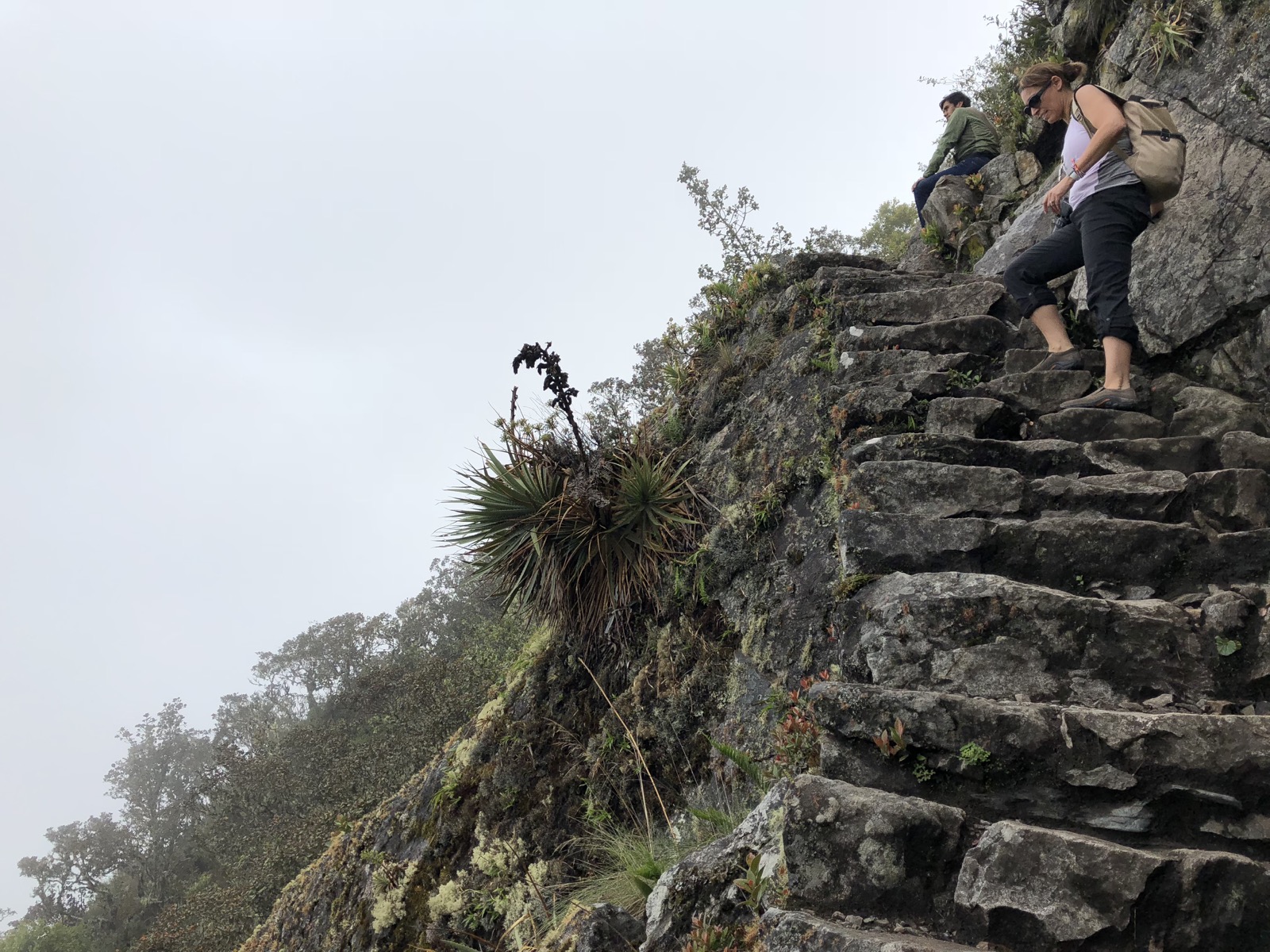 Praying didn't work: trail gets nuttier/