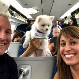 Our travel companion, the most adorable pup!