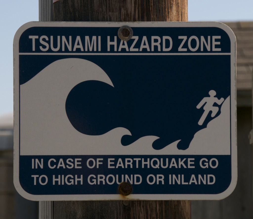Tsunami + earthquake! Yumm!/