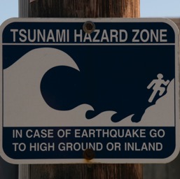 Tsunami + earthquake! Yumm!/
		    