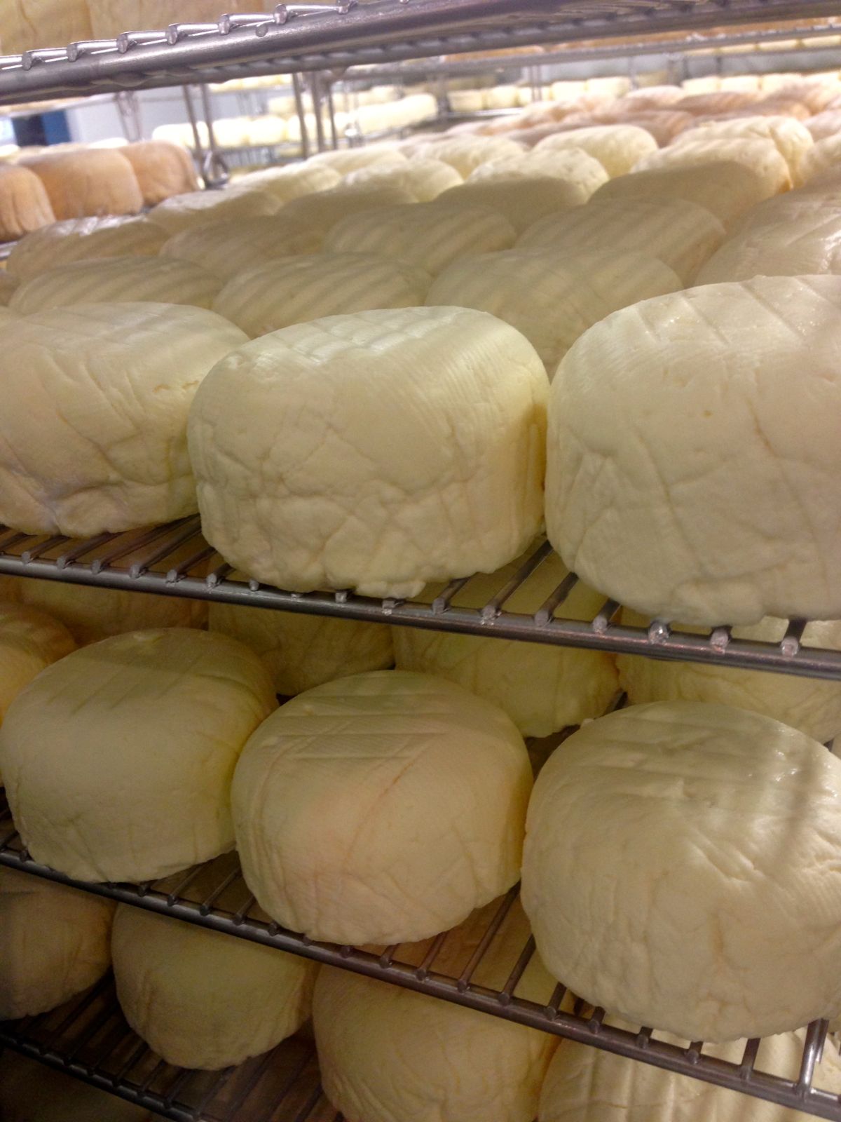 A stop at Cow Girl Creamary... Mmmm... cheese!/