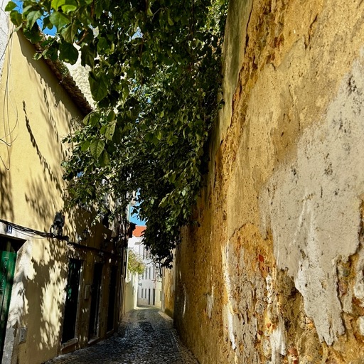 A simple street in Alfama/
		    R. das Damas 27, 1100-532 Lisboa, Portugal
