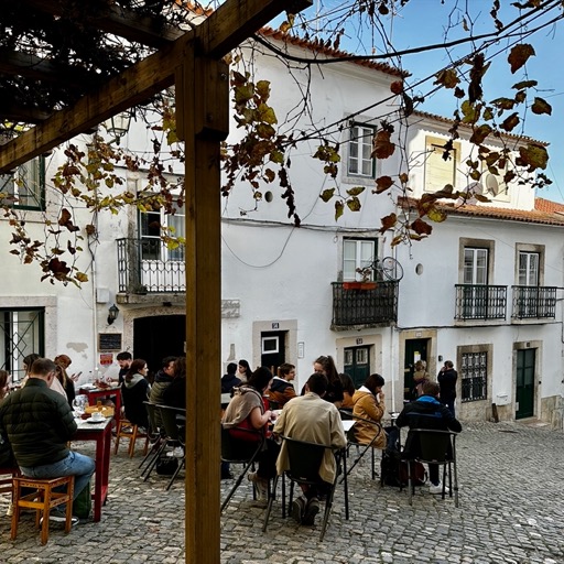 Adorable restaurants all over Alfama/
		    R. da Adiça 60, 1100-118 Lisboa, Portugal