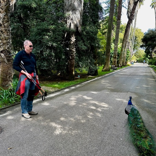 Our companion during our visit to Jardim Botânico Tropical/
		    Tv. Marta Pinto 21 1, 1300-469 Lisboa, Portugal