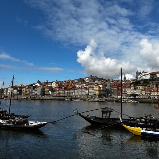 Rio Douro, gondolas, and Porto/
		    Av. de Diogo Leite 276, 4430-999 Vila Nova de Gaia, Portugal