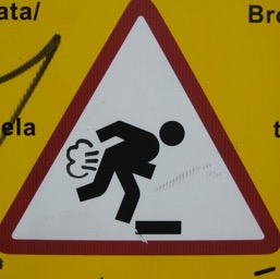 Warning! You may fart!/
		    