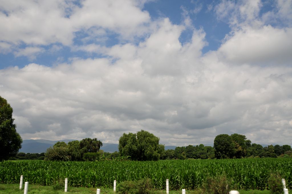 Off to Oaxaca... the road goes thru fields.../