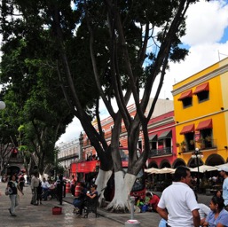 Puebla's El Zócalo/
		    