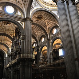 The interior of Catedral de la Inmaculada Concepción/
		    