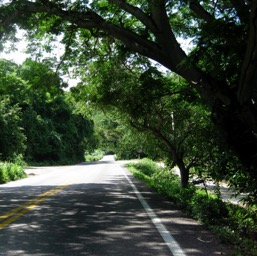 Road to Sayulita/
		    
