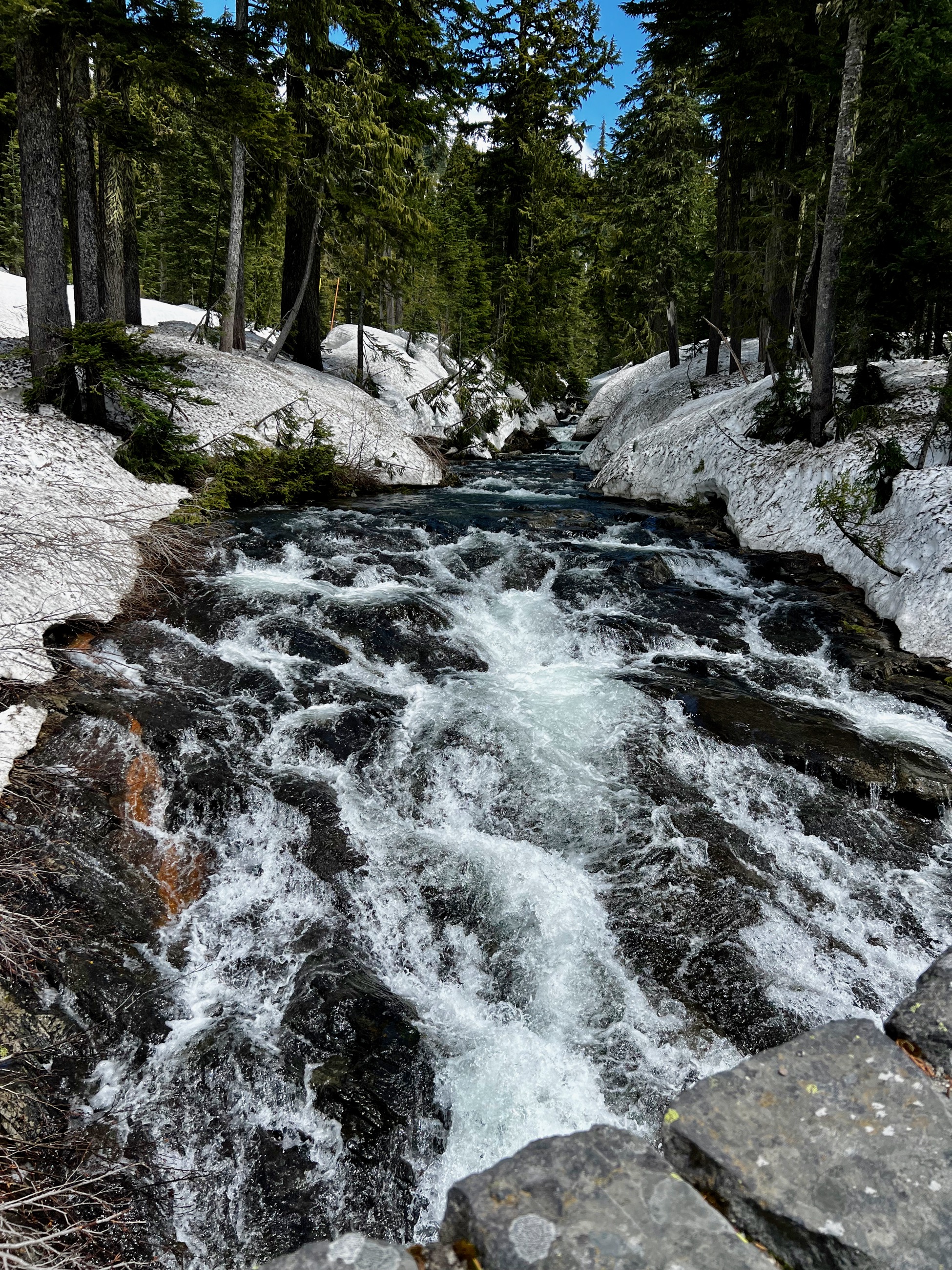 More water that could use LivePhotos/