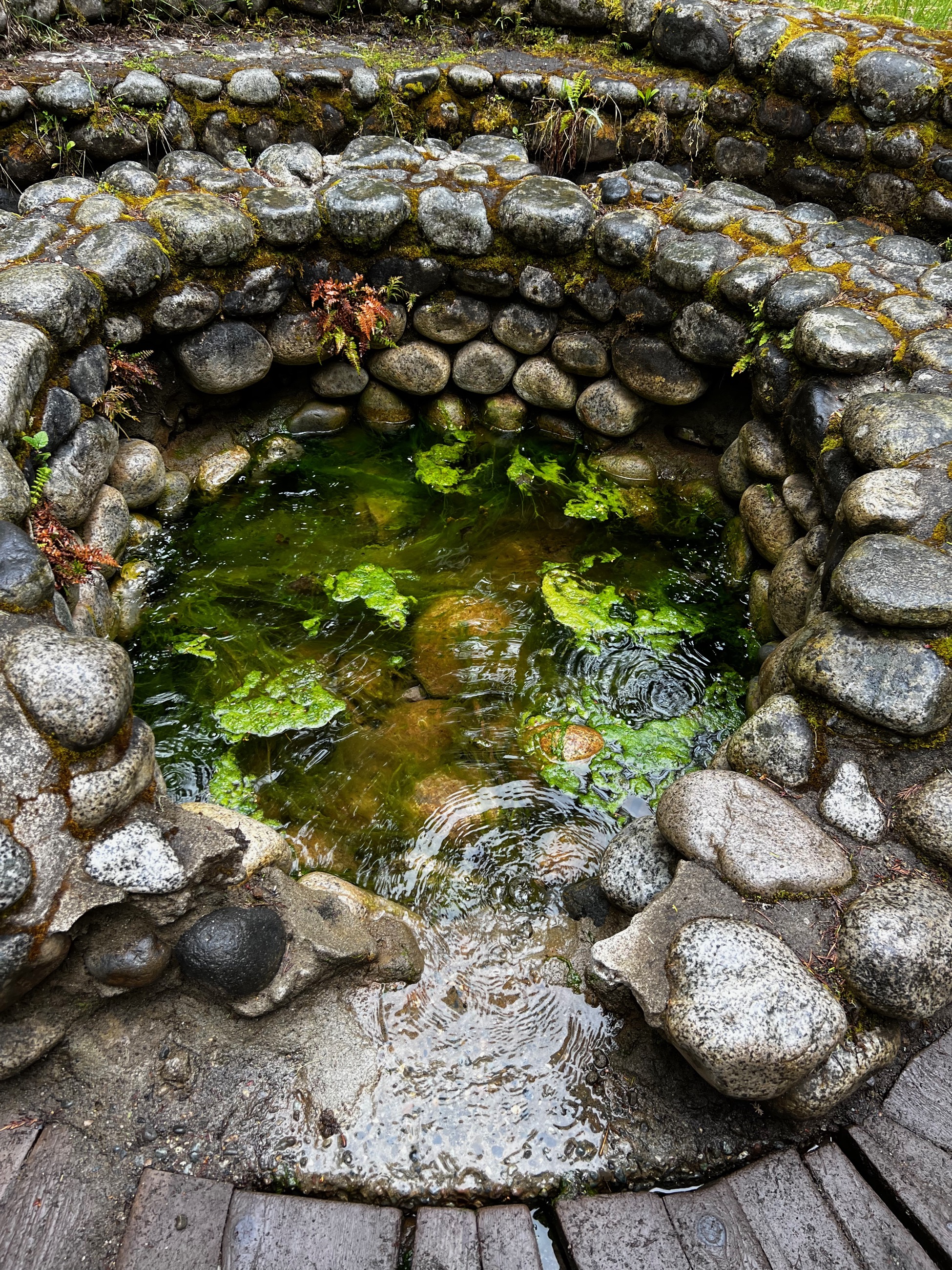 Blooop bllloplploll ... oh LivePhotos! Where are you when we need you/