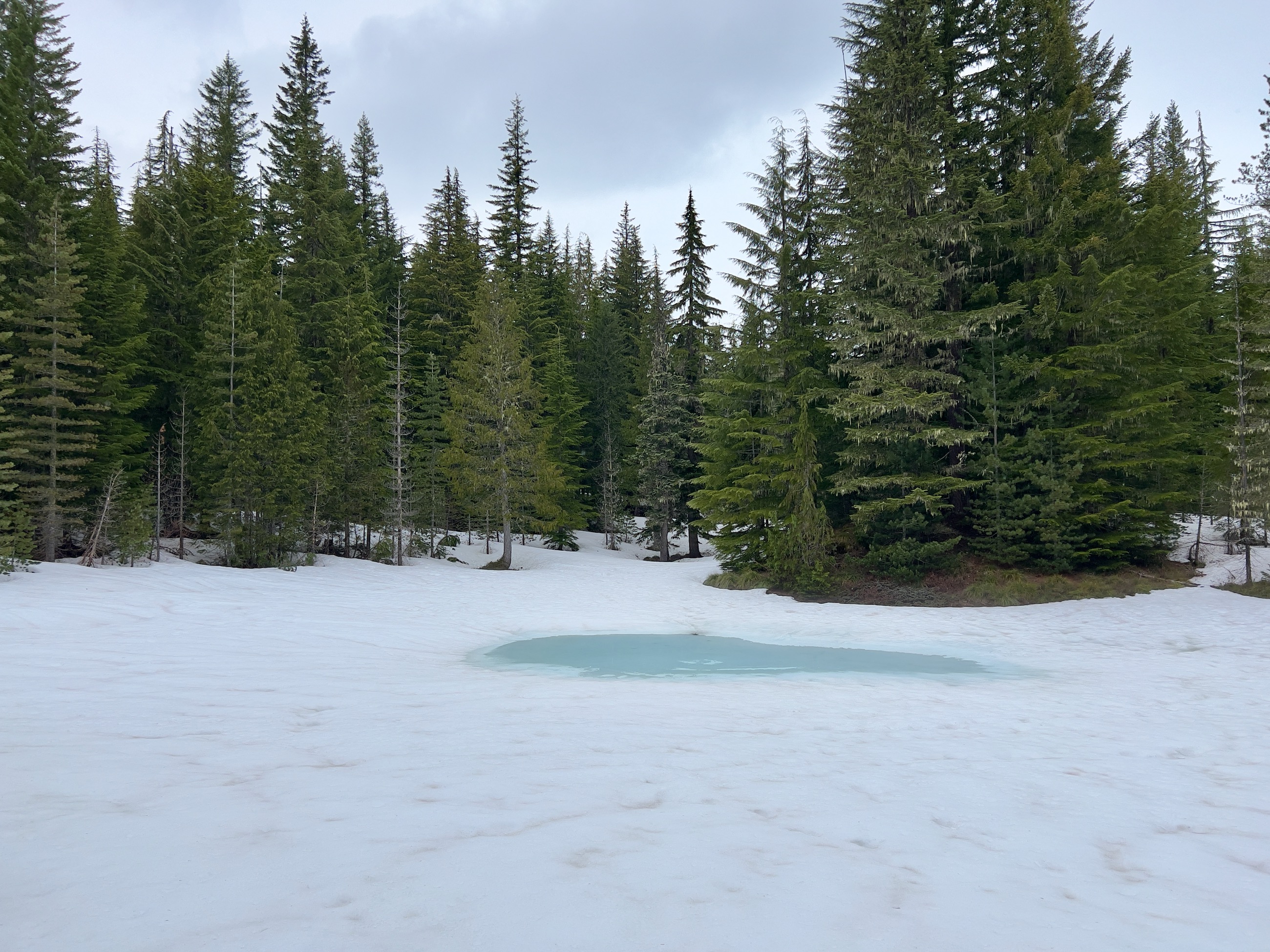 Alpine "lake" on the worst ridge trail ever/
