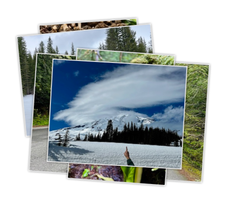 Mount Rainier National Park, Washington