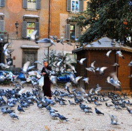 Crazy pigeon lady/
		    
