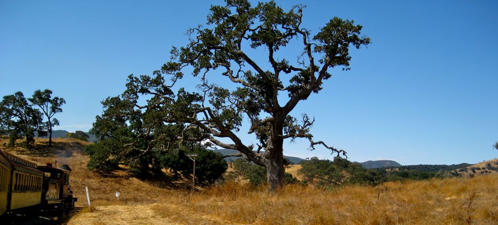 Santa Margarita Ranch/