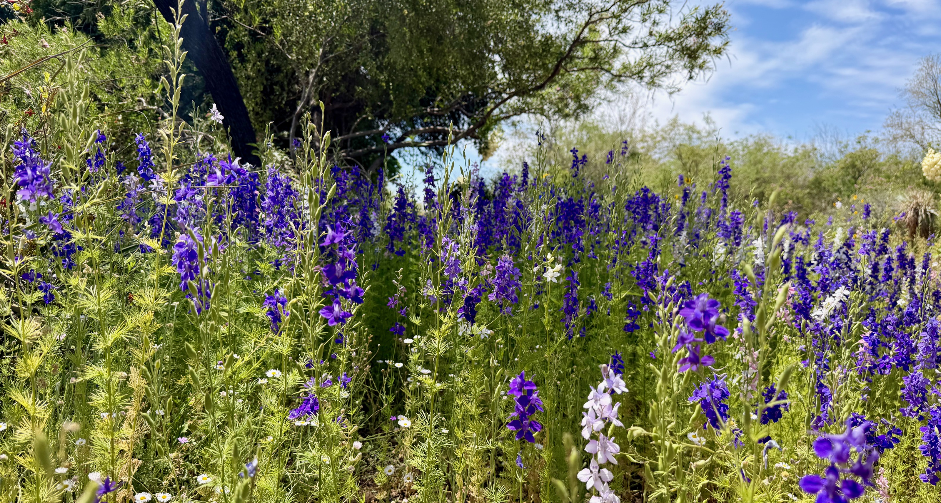 1201 N Galvin Pkwy, Phoenix, AZ 85008, USA