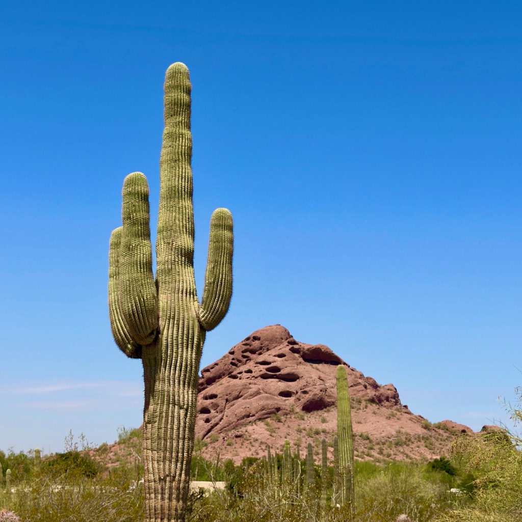 
		    F364+33, 1201 N Galvin Pkwy, Phoenix, AZ 85008, USA