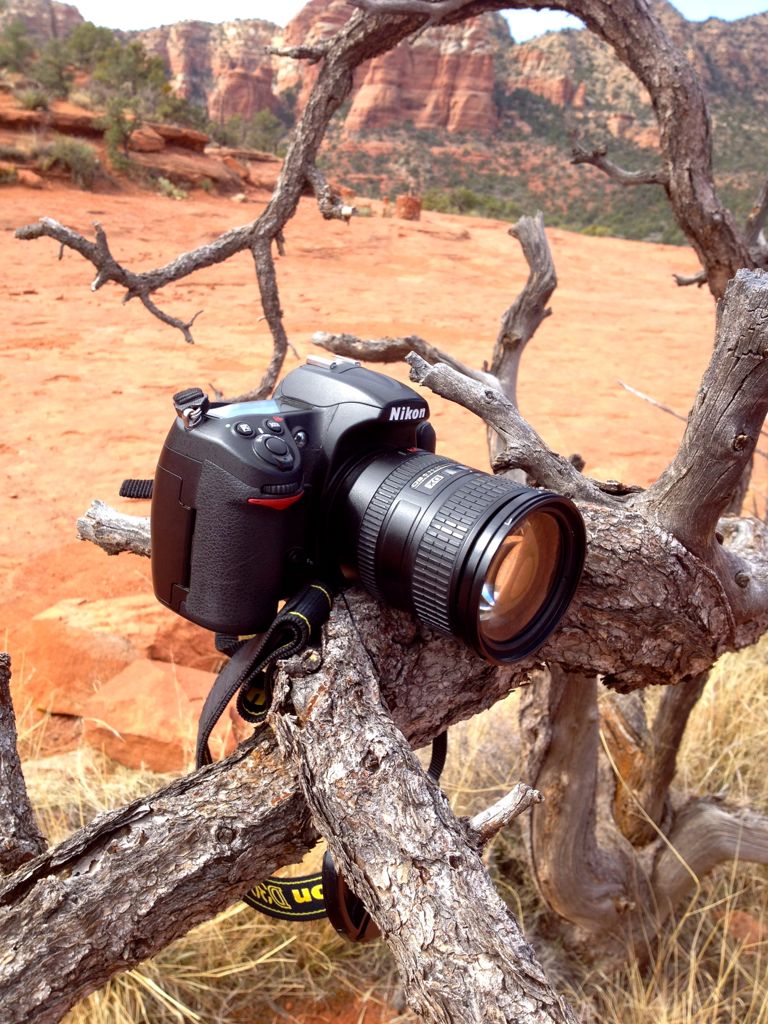 Tree tripod... not super easy to carry around!/