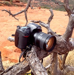 Tree tripod... not super easy to carry around!/
		    