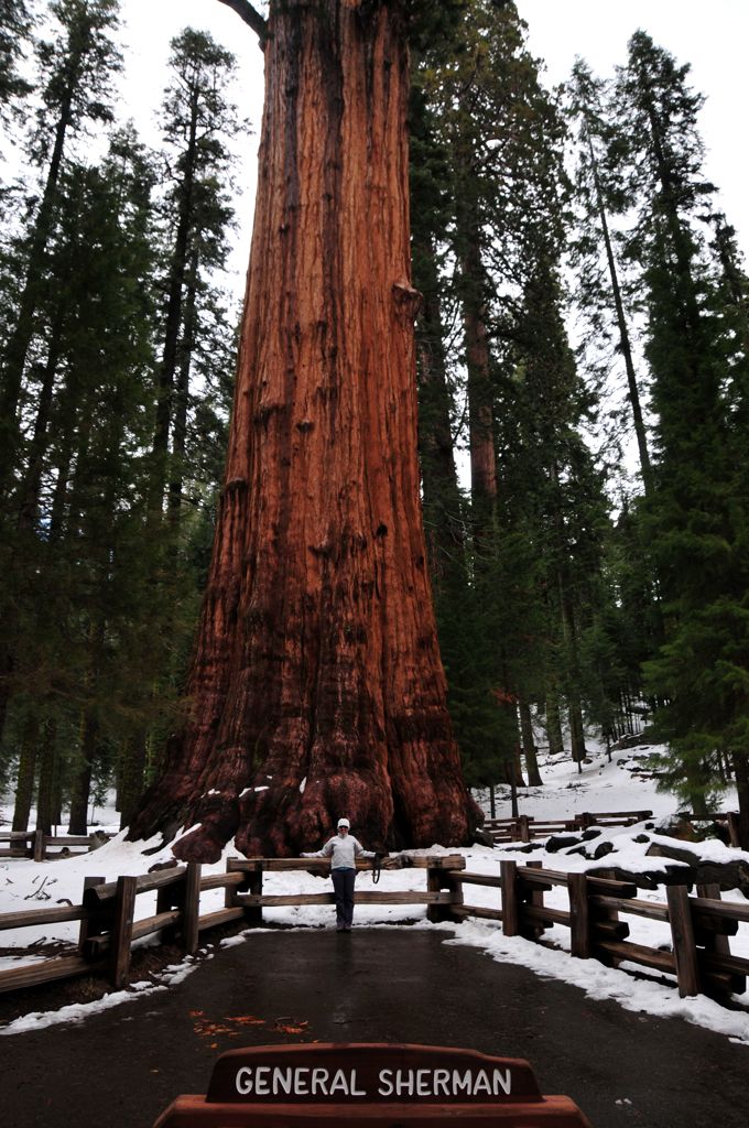 Hello General Sherman!/
