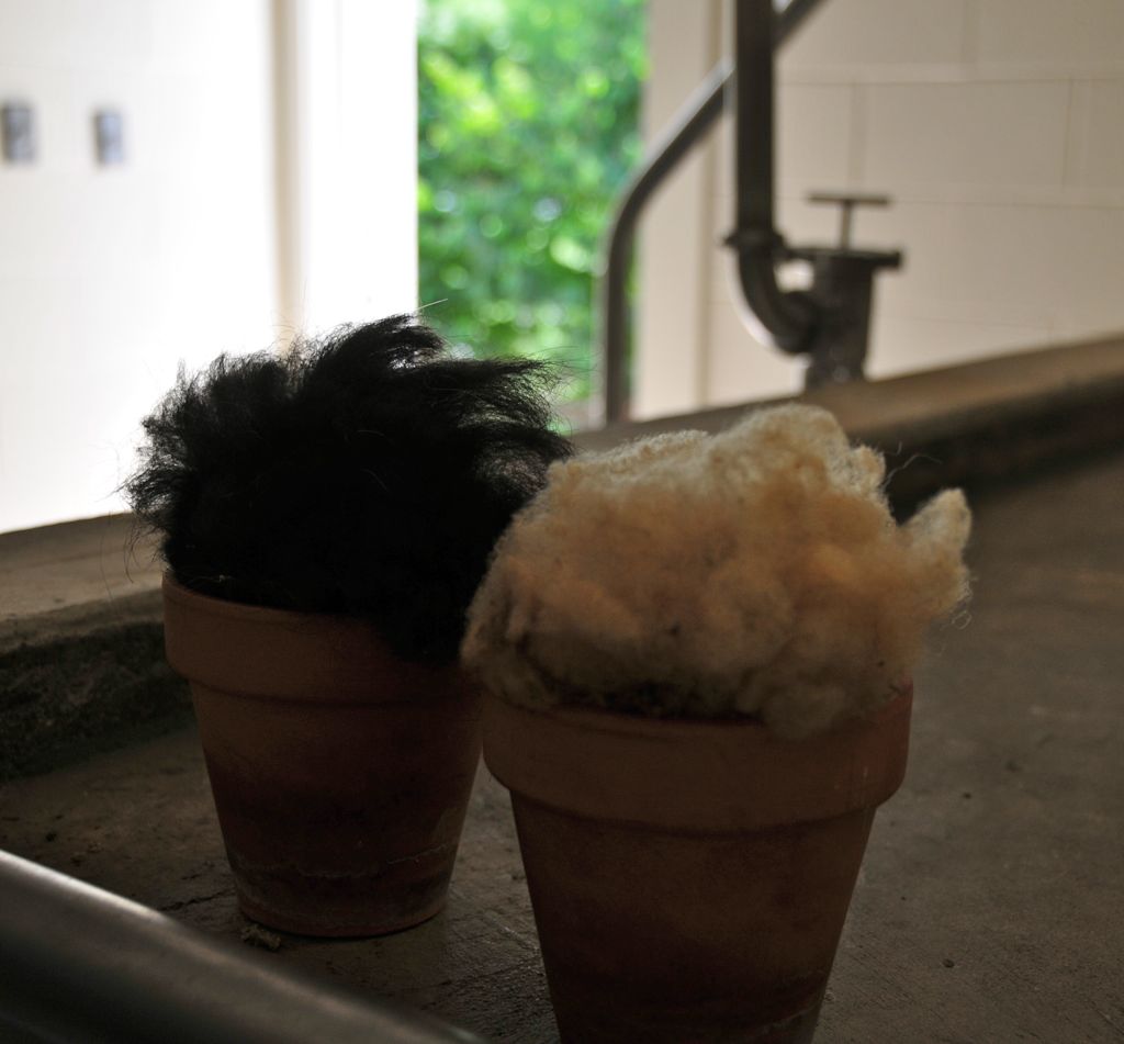 Sheep and lama fur... they were both very soft/