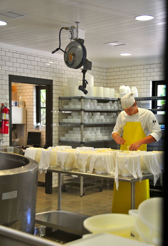 Cheese making in progress/