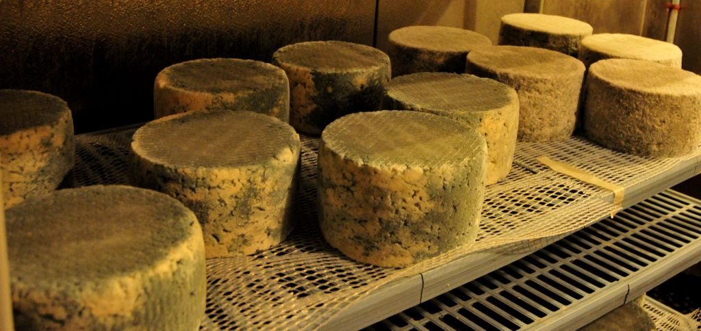 Ahhh... the cheese cave/