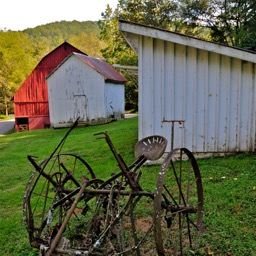 The horse barn/
		    