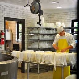 Cheese making in progress/
		    