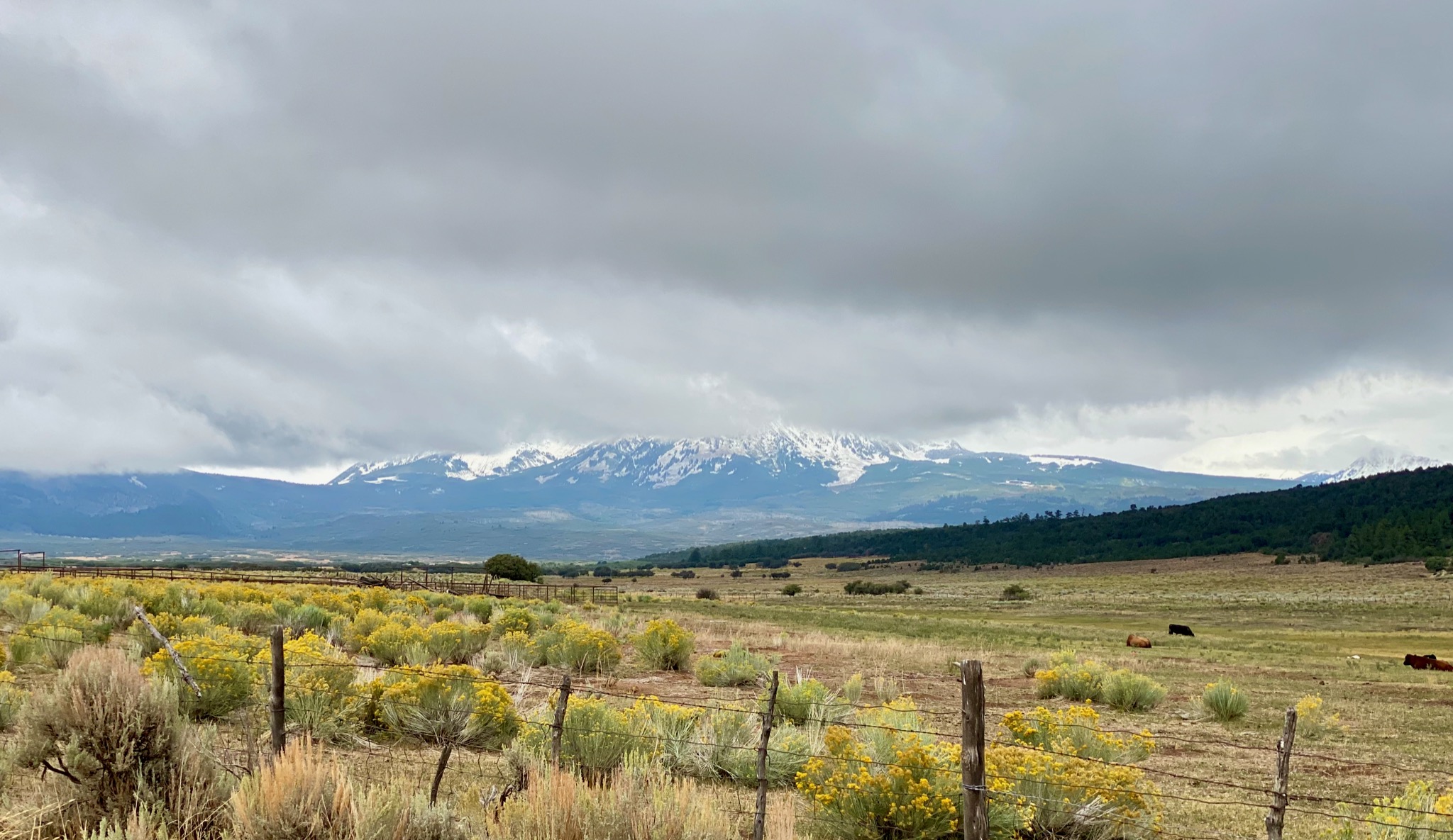 Las Sal Mountains in the background... they always keep their snow cap/